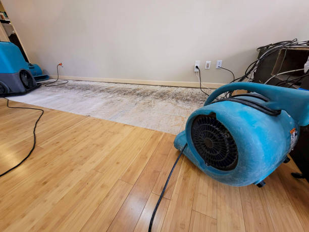 Reliable Basement Flood Cleanup contractor in Footville, WI by Hirex Water Damage