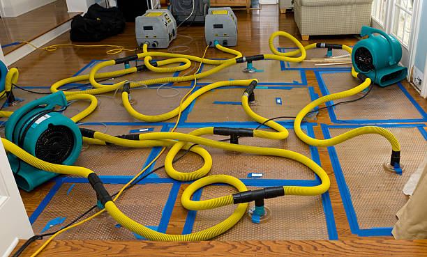 Professional Basement Flood Cleanup technician working in Footville, WI